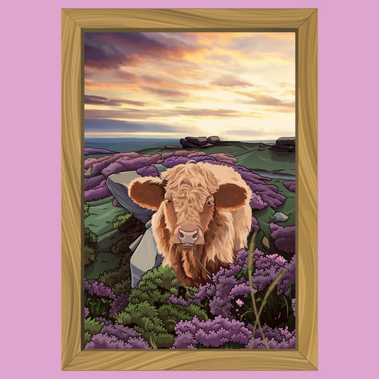 Baslow Edge Cows - Art Print - Professor Broke